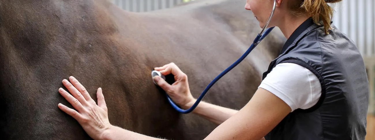 Practical Animal Breeding for Field Veterinarians - From Mating Plan to Calf Outcome